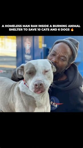 Real Heroes | A homeless man named Keith Walker went out of his way and risked his life to save the animals who were trapped in an Atlanta-based shelter... | Instagram