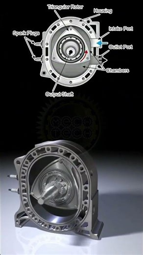 paisa hai sobkuch huti hai#trending #viral #shortvideo #reels