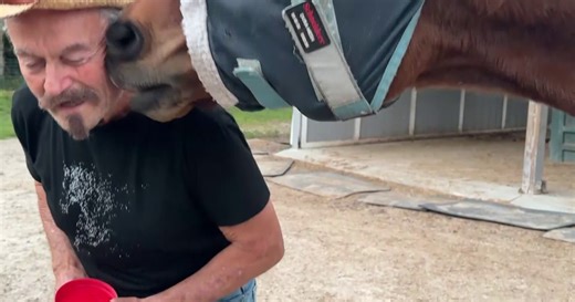 Collier County man refuses evacuation to protect horses from wildfire