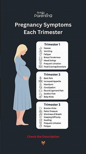 Pregnancy Trimesters – A Guide for Moms-to-Be | Pregnancy #pregnancy #baby