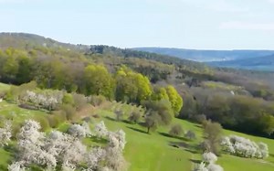 天使数字寓意3939、9393 、3399、9933