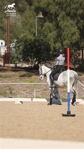 Riding a good corner is essential in test riding. 💯 When you ride a good corner you allows you make the most of each movement in your test. 🐎 Practicing your corners at home will help you get your horse connected inside leg to outside rein and in your aids. 🏇 To ride a good corner, begin moving your horse off your inside leg into your outside rein. This will help you get the correct bend and ride a balanced corner. 🐴 As you come out of the corner, you should be able to soften your inside rei