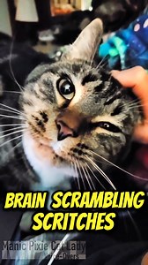 37K views · 2.4K reactions | This old video of Calvin really melts my...