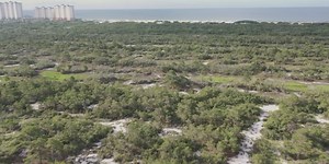 State adding more public beach access after land purchase on Fort Morgan