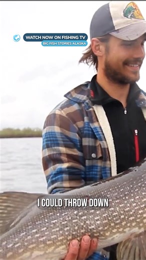 Does Alaska have the best Pike fishing in the world? - ‘Big Fish Stories Alaska’ on FishingTV Click the link to watch now! https://www.fishingtv.com/video/big-fish-stories-alaska/ Big Fish Stories Alaska is the most absolute example of adventure fishing. Four Swedish predator fishing friends pack up their belongings with the goal to access the world’s best Pike Fishing. Armed with little more than a tent, some bear spray and a couple of canoes, the group fly out across the mountains beyond civil