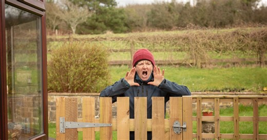 Fence ownership laws and who has to repair or replace panels