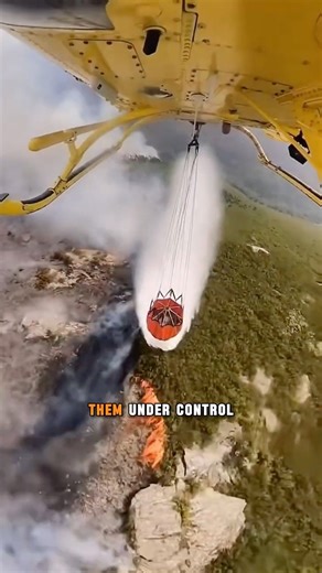 Why do firefighters SET FORESTS ON FIRE?