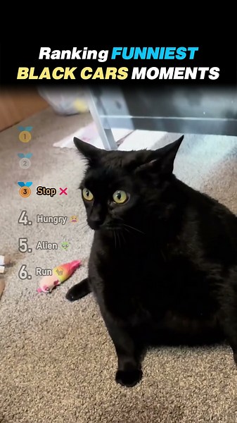 Ranking FUNNIEST BLACK CATS Core Moments!! 🖤🐱