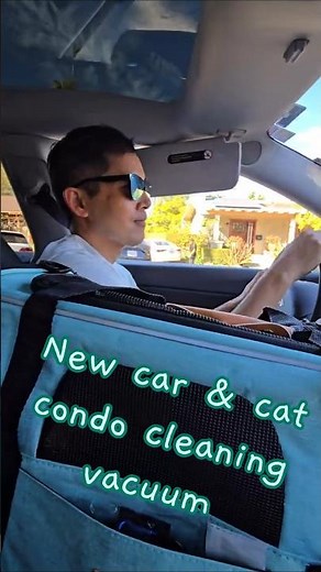 New car & cat condo cleaning dyson vacuum (unboxing & demo)