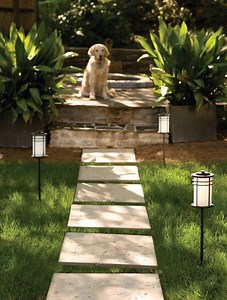 Playing with the pup, nights with a cool breeze and overall relaxation, what's your favorite part of summer? Comment below and let us know! | Capitol Lighting