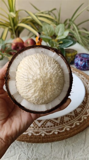 Sprouted Coconut | Have You Seen This Inside a Coconut? 🥥 #coconut #fruitcutting #youtubeshorts
