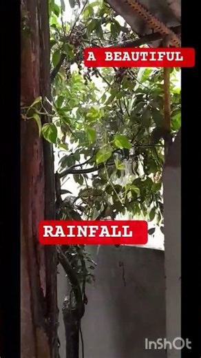 A NATURAL PHENOMENON //ATI SUNDAR PRAKRITIK DRISHYA #SHORT #VIRAL # SHORTFEED