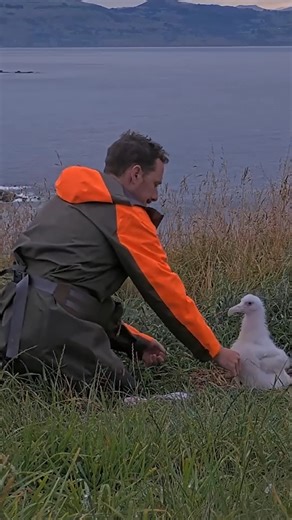 90K views · 2.5K reactions | Weight check time for the Northern Royal...