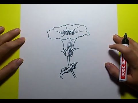 Como dibujar una flor paso a paso 8 | How to draw a flower 8