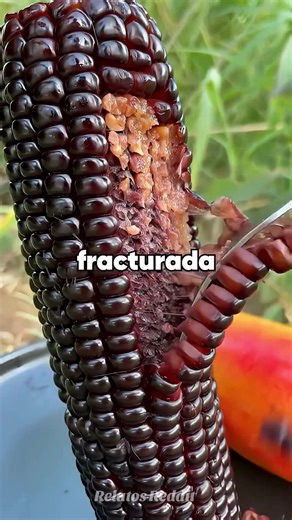 Mi sobrino pateó al perro de mi hijo