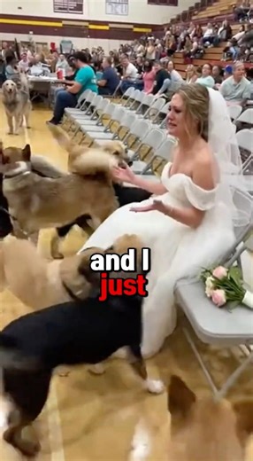 My Dad Got Chosen - Dogs Choose Thier Human