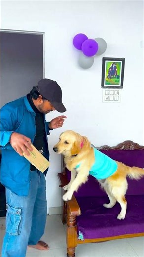 मेरे डॉगी ने फिर से बदला कैसे लिया था😱 #funnydogs #shorts