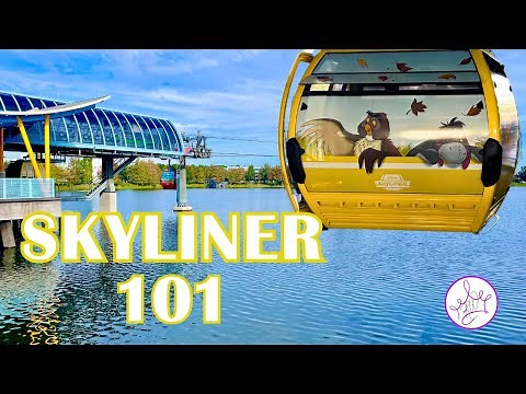 Skyliner Routes, Travel Times & Must-Know Tips! | Skyliner 101