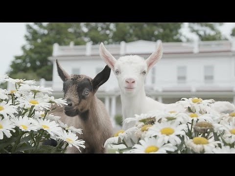 The Story Behind Beekman 1802