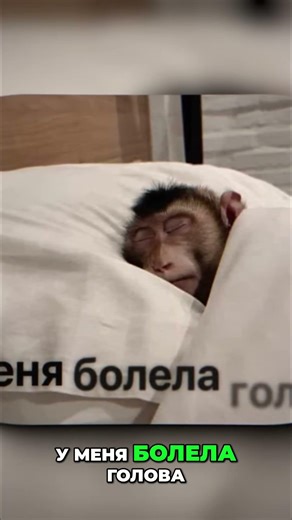 Виртуальное собеседование в Google: 5 экзаменов за 1 день! #shorts