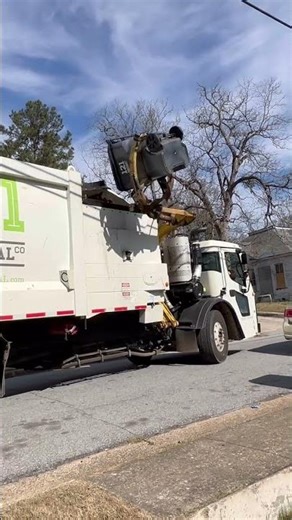 Python vs Grey cart #wastemanagement #garbagetruck #shorts #mack #automobile