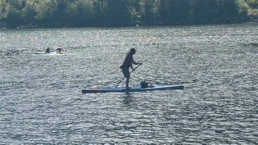 Paddleboard deaths are on the rise and most have a couple things in common