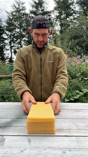 How to assemble a bee frame #howitsmade #hammer #beekeeping