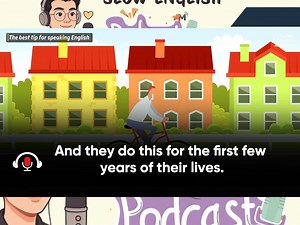 Slow English Podcast The best tip to improve English Speaking Skills | Slow English Podcast