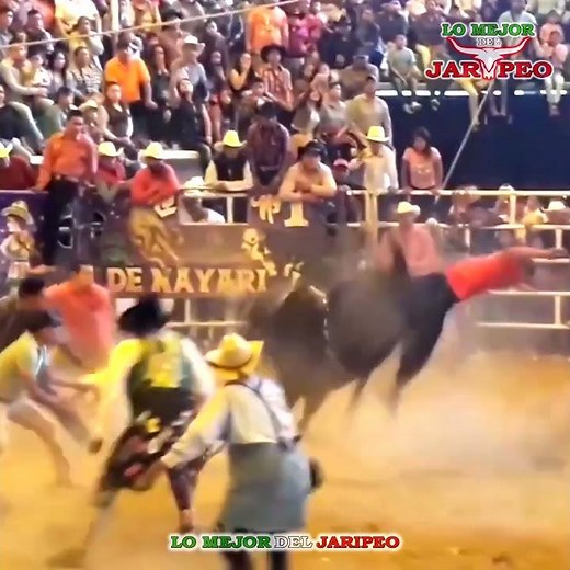 Tigrito De La Cdmx vs Cazador de Rancho Los Huracanes #jaripeo