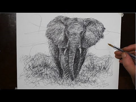 How to Draw a Realistic Elephant with a Biro Pen