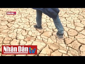 Hạn hán cục bộ ở Tây Nguyên