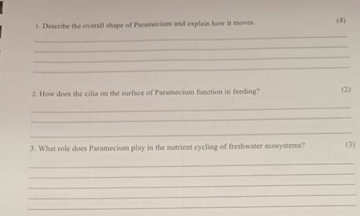 Describe the overall shape of Paramecium and explain how it mov... | Filo