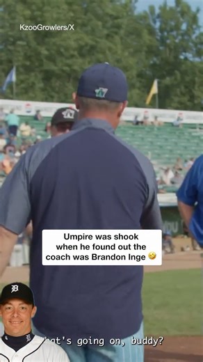 41K views · 290 reactions | The reaction is so pure 藍 Inge played 13 MLB seasons, 2009 All-Star. (: @kzoogrowlers) | CBS Sports | Facebook