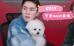 【奈娃家族】好久不见的never女明星出镜啦，看着镜头的样子太乖啦【210219】
