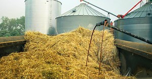 5 Benefits of Liquid Feed Supplement for Beef Cattle