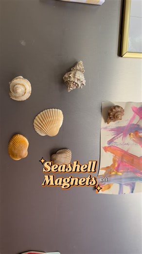 Haley Marie Bordeaux on Instagram: "Obsessed with this simple craft #Shelling #seashells #seashellcrafts"