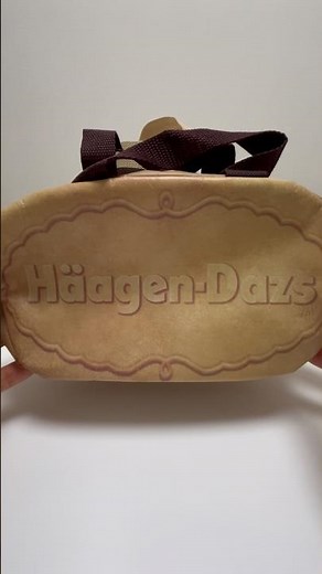 3 Kinds of Haagen-Dazs Crispy Sandwich shaped cooler bag #shorts