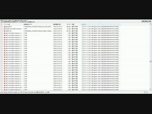 PSO2 消されたファイルが何かわからなくてすごい怖い