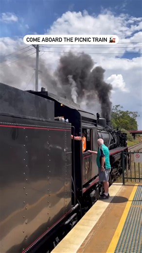 13K views · 412 reactions | All aboard The Picnic Train  a throwback in time to when steam ruled the rails. If you're looking for the ultimate adventure, the route to #Dungog is a unique way to experience the wonders of the Hunter Valley Wine Country in true heritage fashion. Thanks for sharing your #feelNSW moment IG/ theguthriecollective | Visit NSW | Facebook