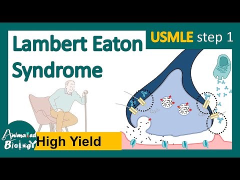 Lambert Eaton syndrome | Lambert–Eaton myasthenic syndrome | NMJ diseases | USMLE step 1