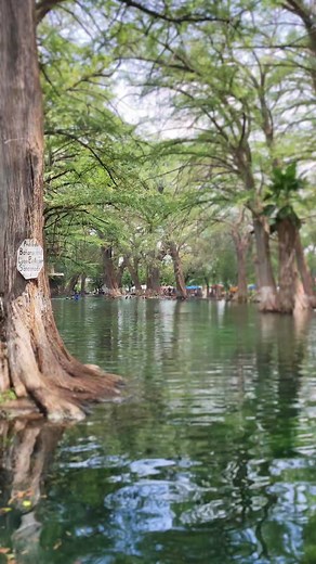 🌞 Vacaciones de Verano Más Que Mágicas Extraordinarias 🌞 Iniciamos nuestra temporada de verano con una gran oferta y precio especial, entrada general $50 con derecho a todas las áreas. ¡No te pierdas esta oportunidad única para disfrutar de todo lo que Lampazos tiene para ofrecer! 🌳 Explora la Naturaleza🌳 Lago natural Áreas verdes 🏊‍♀️ Diversión Acuática 🏊‍♂️ Alberca natural Chapoteaderos para niños Alberca de olas Alberca de toboganes ⚽ Deporte y Recreación ⚽ Canchas deportivas Áreas de a