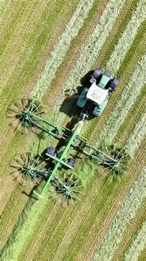 Krone Swadro rakes bringing grass together