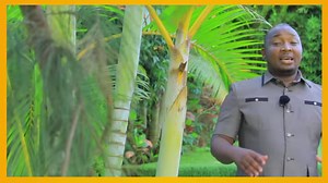 Here to remind you nera, Twina live worship concert is here!! | TWINA Herbert