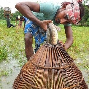 99M views · 990K reactions | Traditional Polo Fishing By Village People | Catch Lots of Fish Using Polo Trap | Best 2021 Video | Fisherman Animal Lover-Original | Facebook