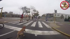 2.3K views · 125 reactions | #TrayectoApbtPeru 03MAYO2015 ( II ) | Apbt Peru | Facebook