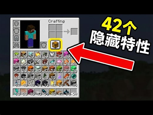 【中配】我的世界: 42个你不知道的隐藏特性 - Wifies