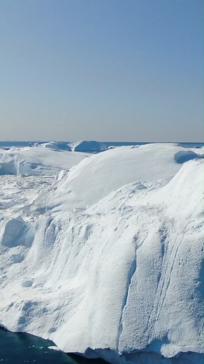 Arctic Facts | Did you know that the Arctic is home to over 21,000 different species of marine life? This amazing diversity of life thrives in the icy waters of the Arctic and is a fascinating example of nature's adaptability to extreme environmental conditions. | BERING