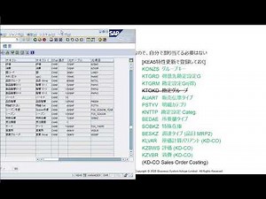 SAP CO-PA 収益性分析 - KEA5 特性登録