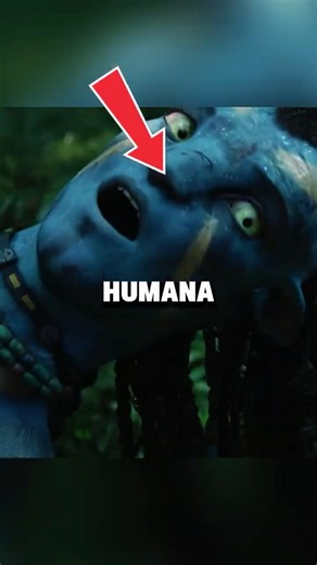 Why do Avatars have eyebrows and Na'vi don't? 🤨
