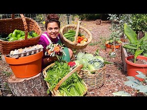 A Neglected Garden Can Be a Productive Garden!